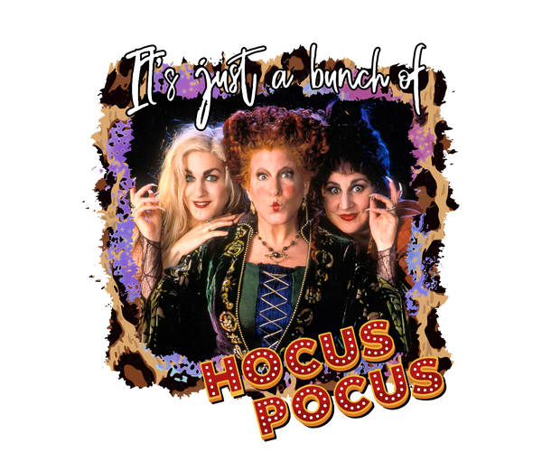 HOCUS POCUS COLLECTION FALL 2025