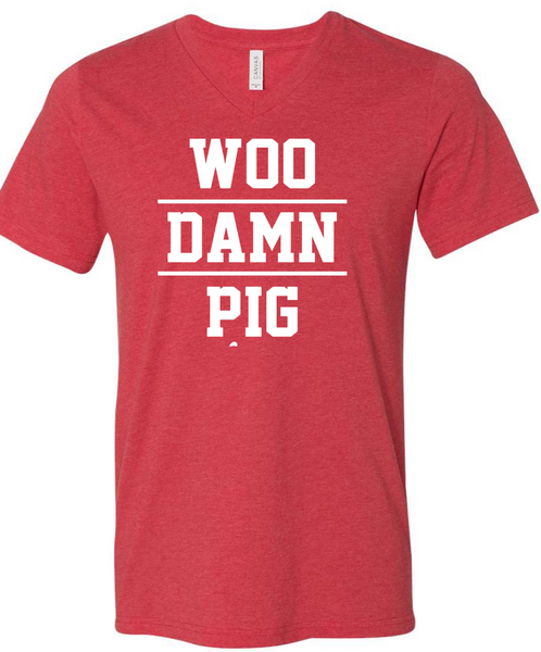 $15 RED BELLA + CANVAS VNECK SALE