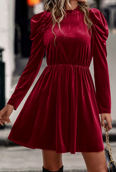 Velvet Frilled Neck Gigot Sleeve Swing Dress